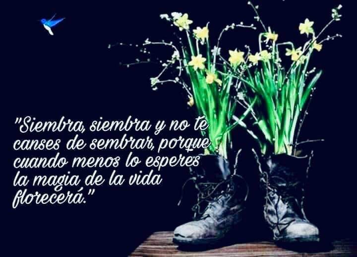 62394865_10219128390103712_7511093422048935936_n