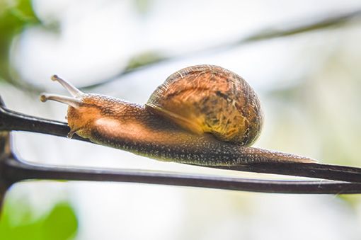 vivir-sin-prisa-147108