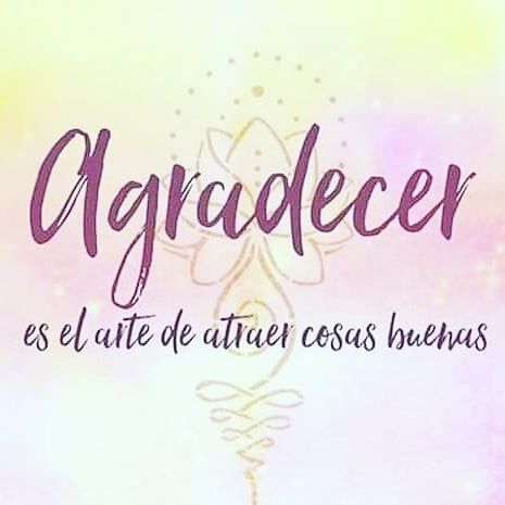 62175232_449540415825734_2915883054886825534_n