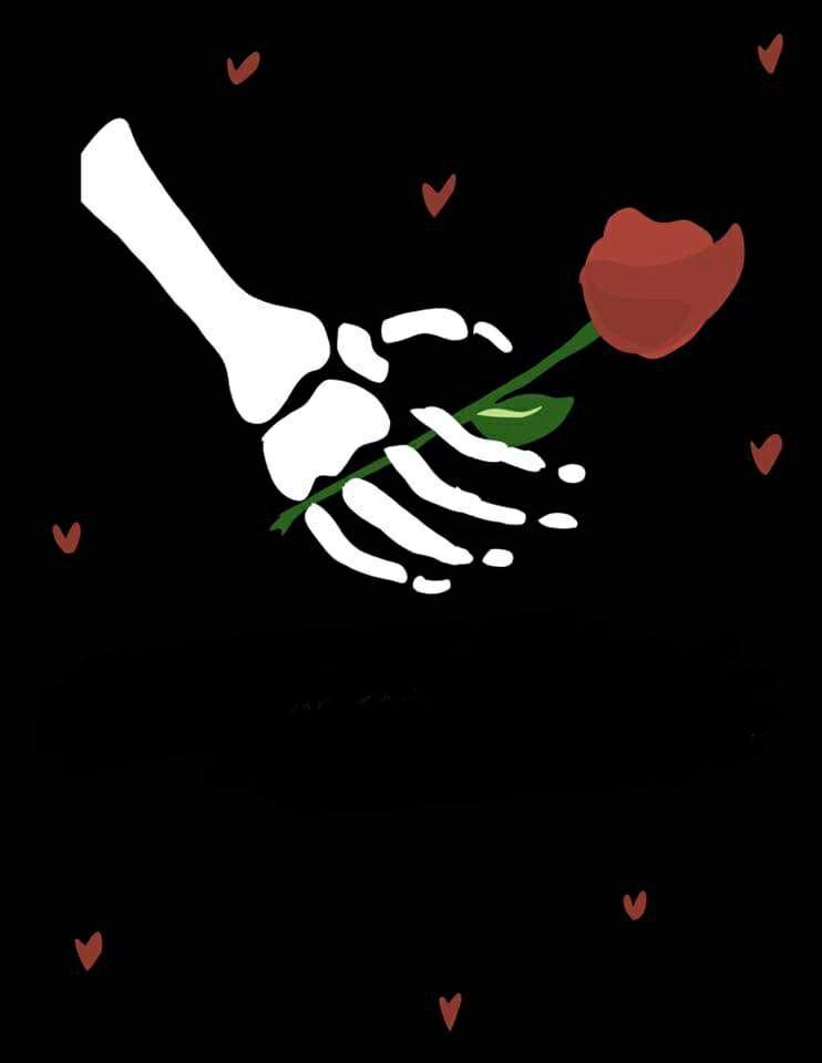 22851809_1995186134075077_129325929310030544_n