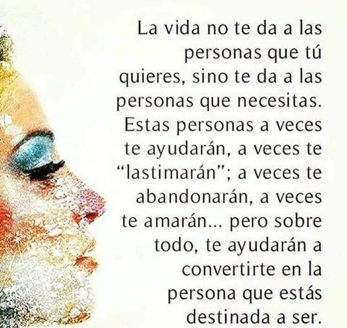 26238890_1473898729389154_1222599031903002313_n