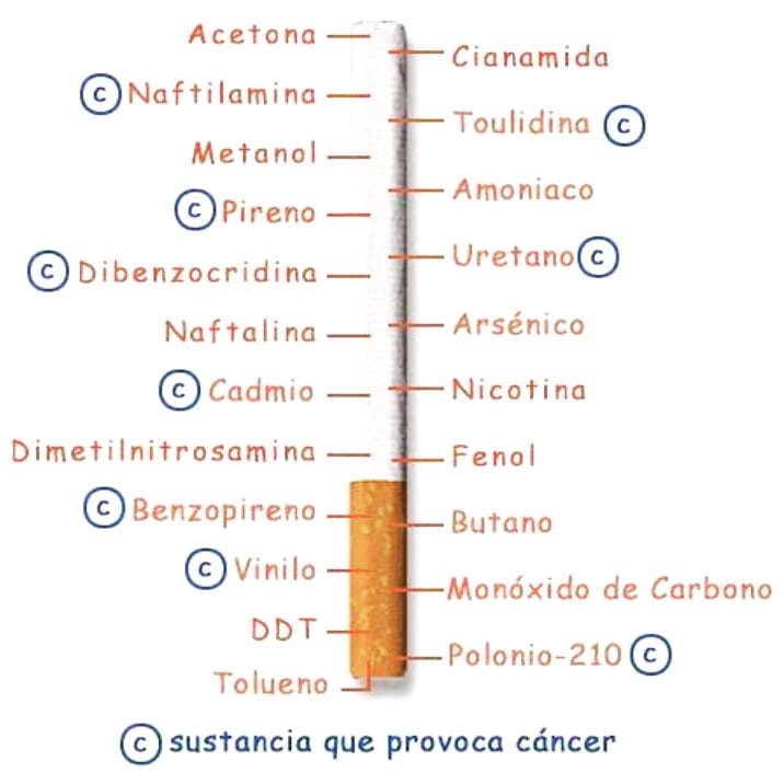 64216997_2796960030379463_4636809790402592768_n