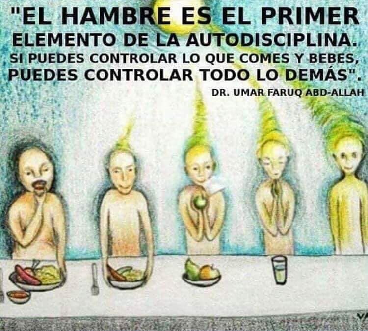 68538830_2166248840170609_3386681978907525120_n