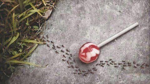 521387_391881344252259_1554068341_n