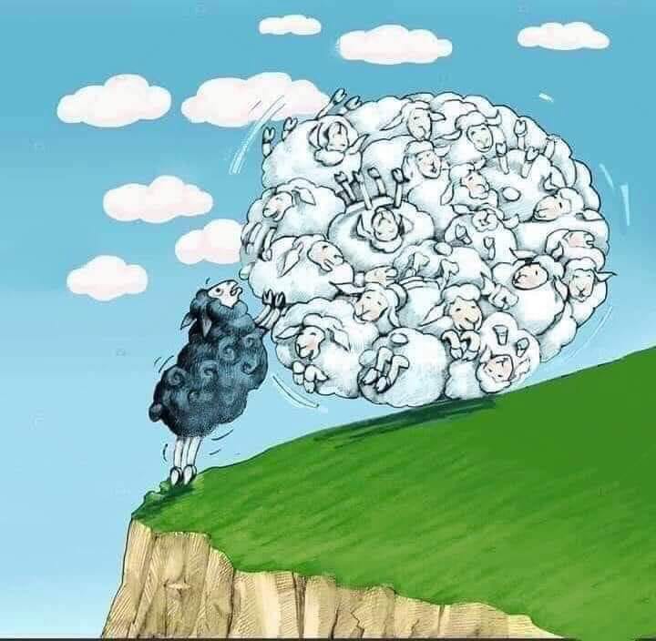 58375644_641027959701438_485896234381344768_n