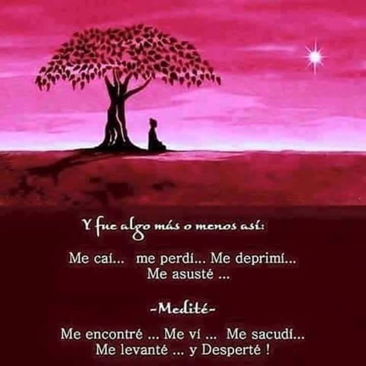 65890229_686613818476185_2324333964409438208_n