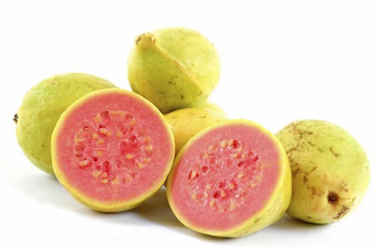 66135588_855399678175085_628926114286272512_n