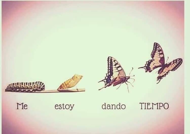 66583949_689048894899344_5662472075453923328_n