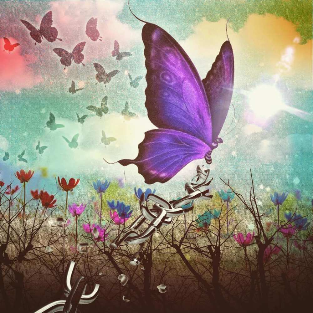 66852761_2362438527344046_9117351791066644646_n