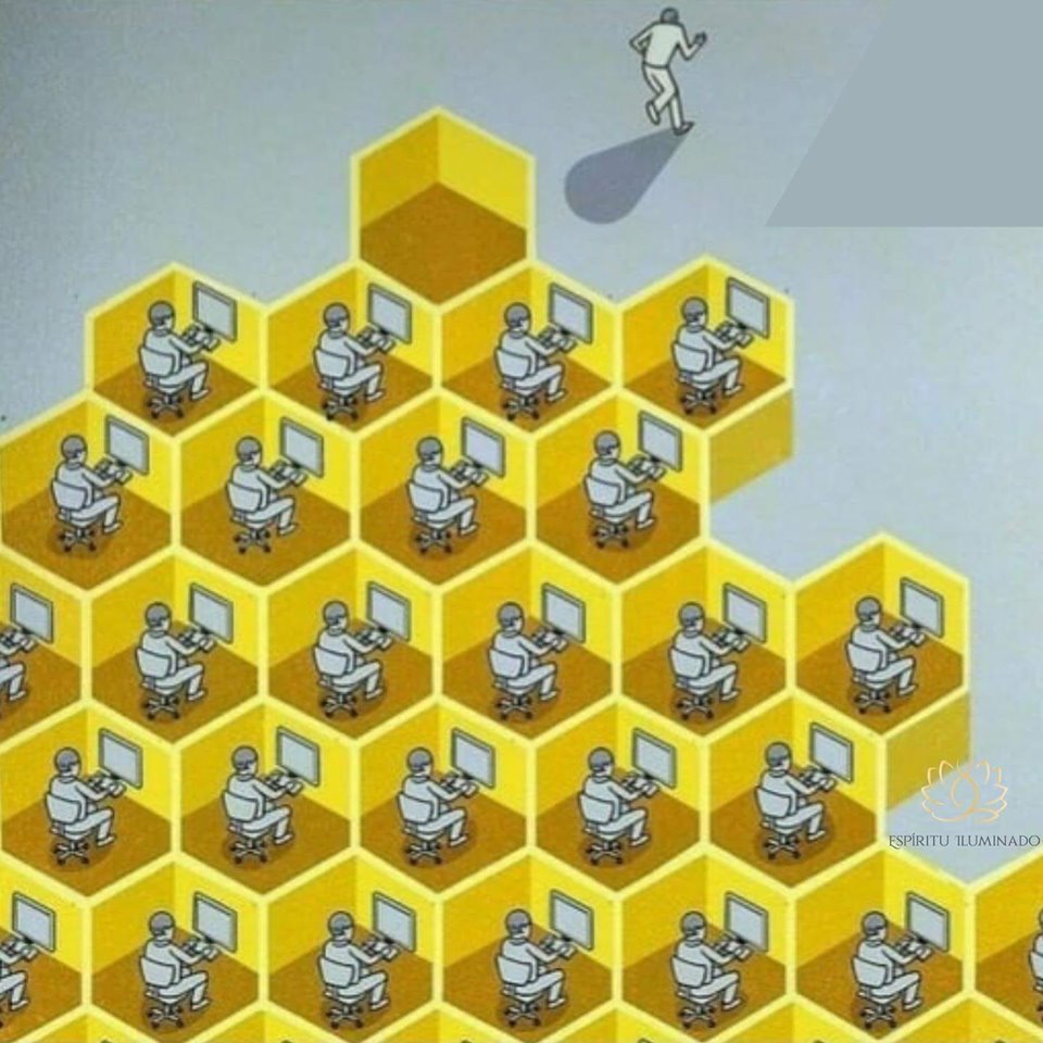 67832927_699541540516746_8301699306700668928_n