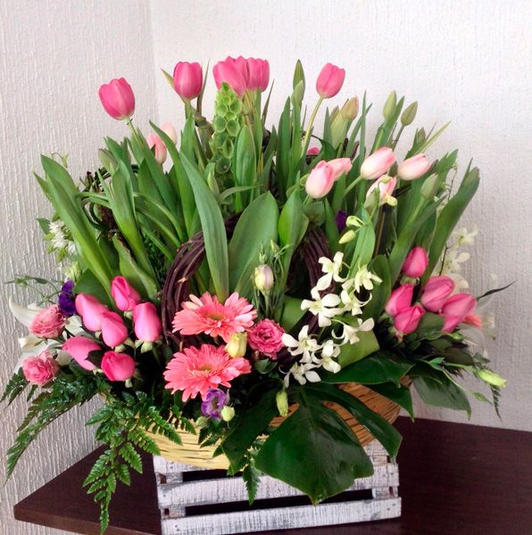 floreria-toluca-43-compressor