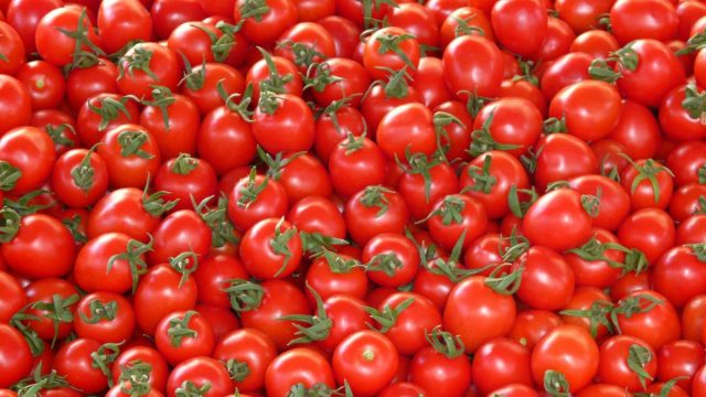jitomate-1-1-640x360