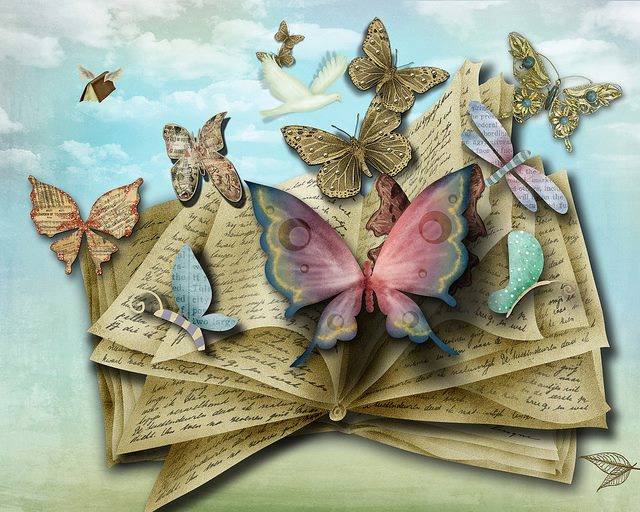 1374749_561638973909075_139085347_n