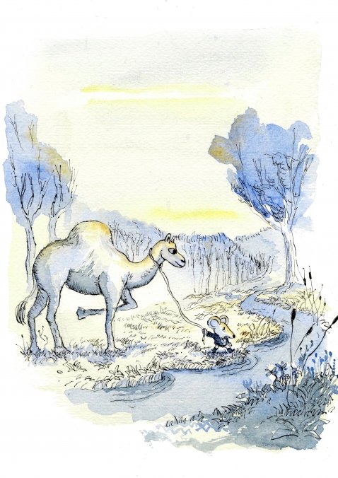 2387 el raton guia_9_478x676