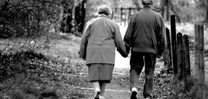 3889f0c02143550491dd23941ca363e3-1-730x350