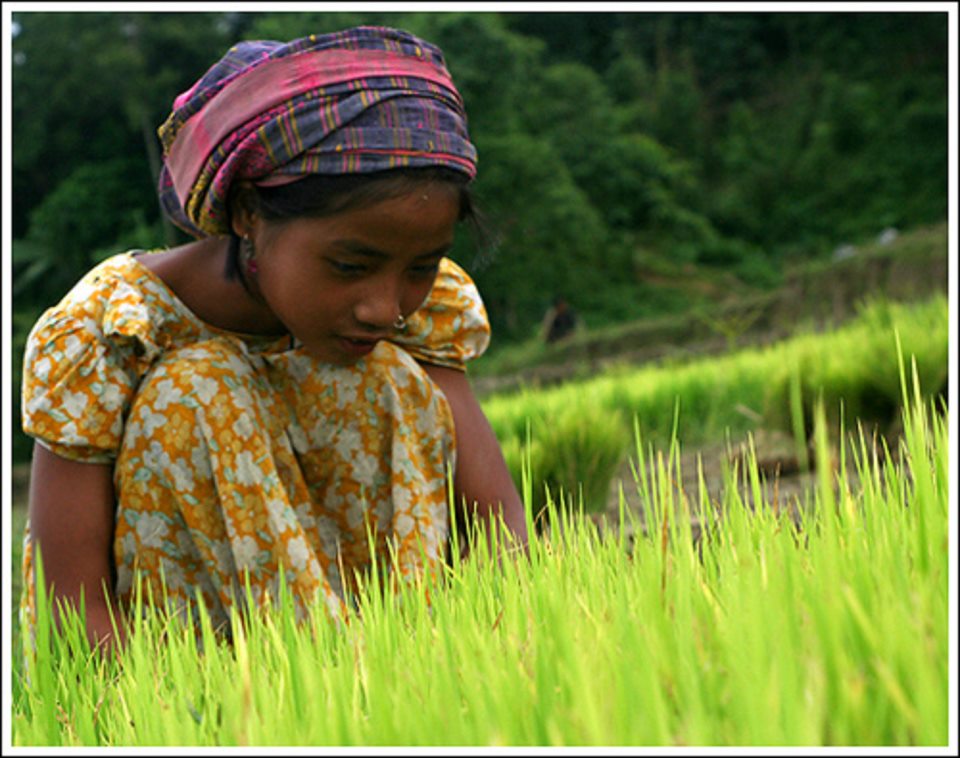 394646_501842959832562_705370242_n