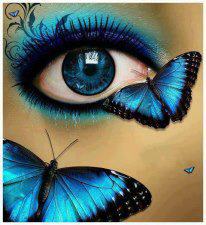 427288_450501851689455_1888578911_n