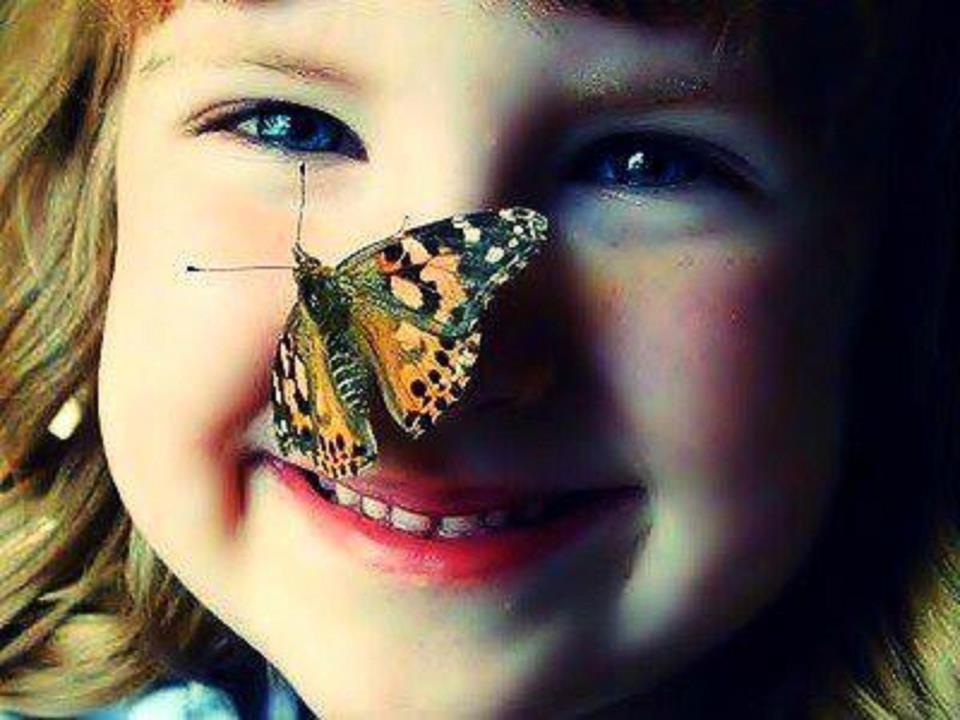 547941_504236219593236_1519051655_n