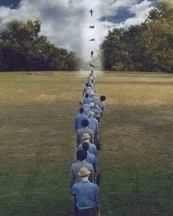 67473461_707825569675104_3969302444457852928_n