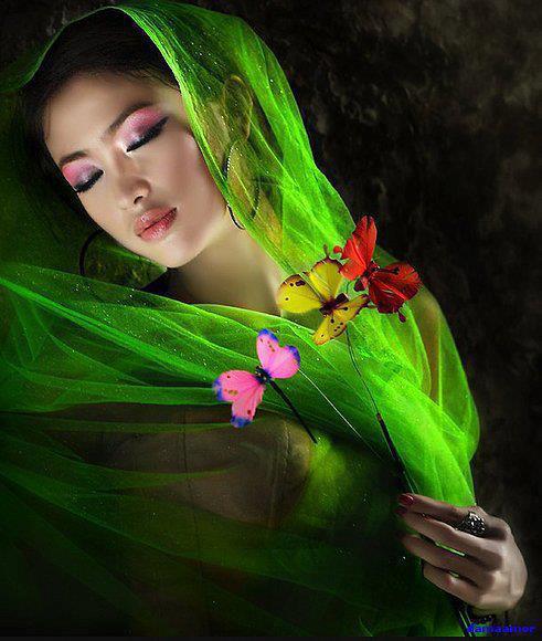 71648726_2743555782344081_7806575395213410304_n