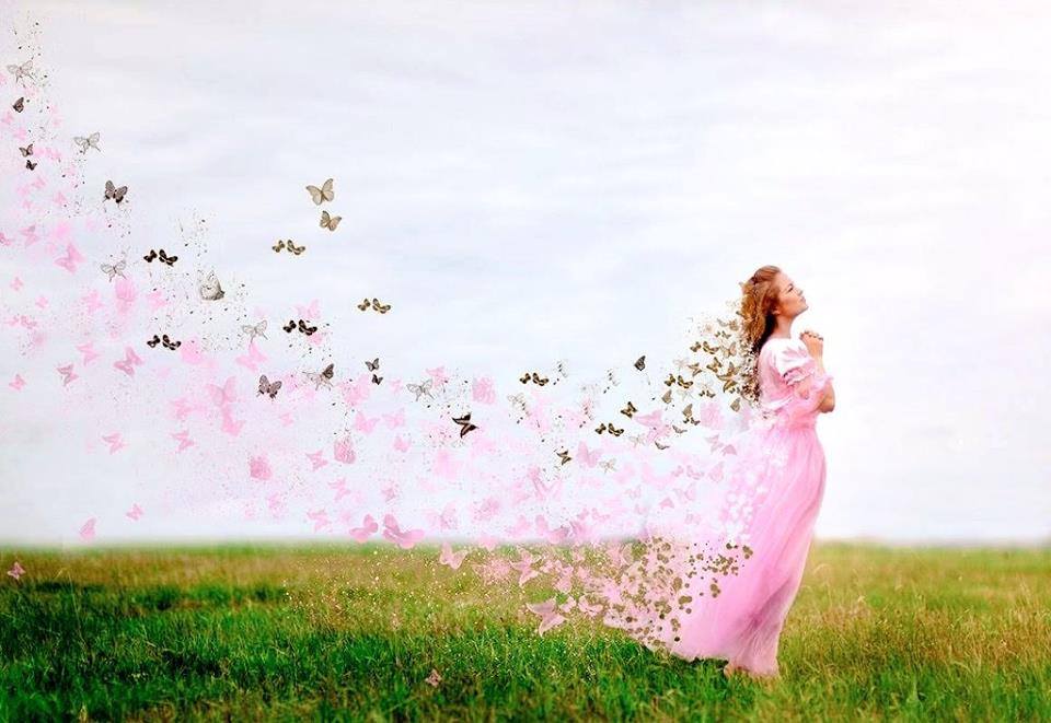 71805820_2744730558893270_6821934772302905344_n