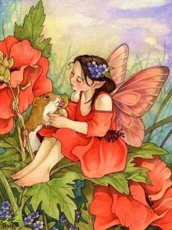 71886472_2744728148893511_4142270750381834240_n