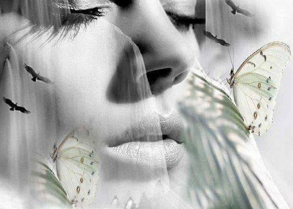 71909766_2744725312227128_1474069871619735552_n