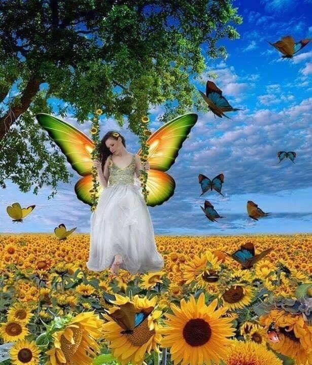 71968716_2743556545677338_110823732628422656_n