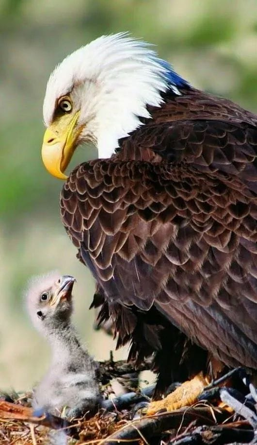 72122768_752283275229333_2157412908013715456_n