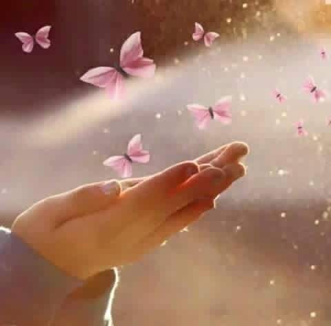 72153078_2744727935560199_3563834046834278400_n