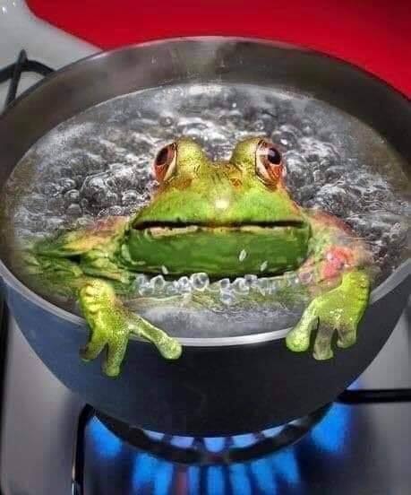 72249567_697367137450508_7832007335387070464_n