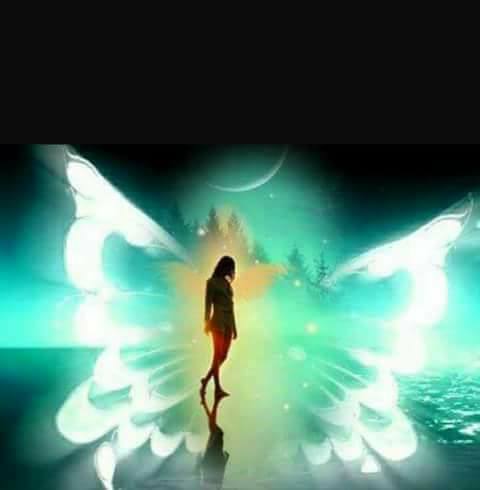 72324760_2744726675560325_1553700536677564416_n