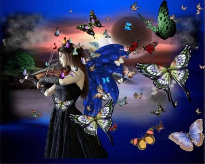 72397340_2743553782344281_8375934827114790912_n