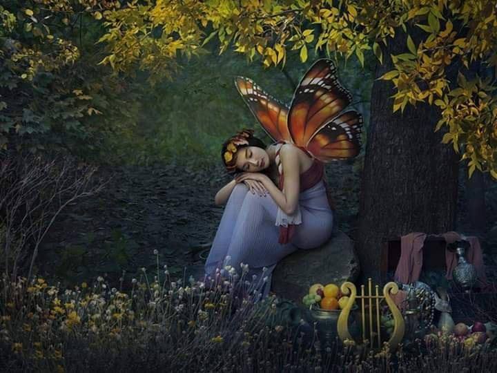 72559673_2743555509010775_6216137774165131264_n