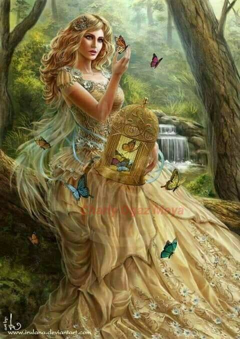 72684482_2744726492227010_5155737750674079744_n