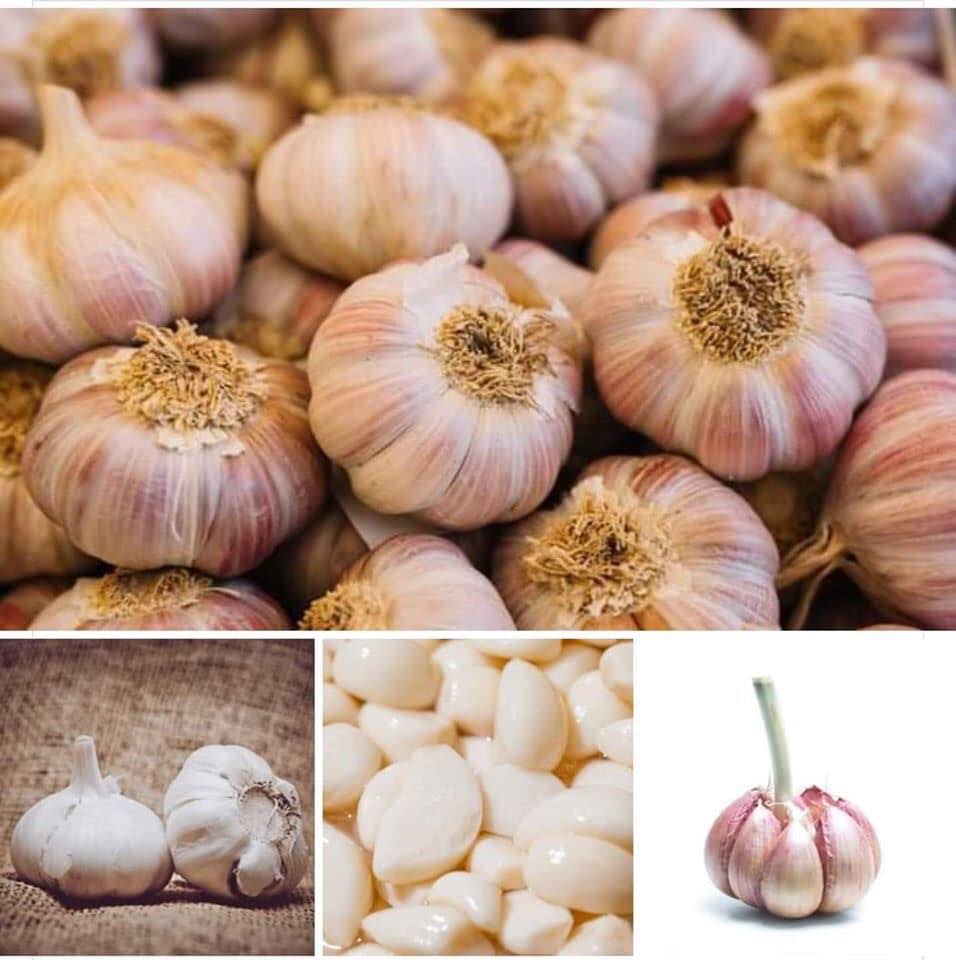 72963696_2517113778566437_6090915545928957952_n