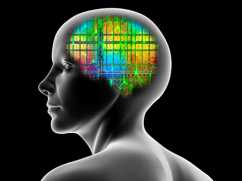 como-dominar-la-mente_x2