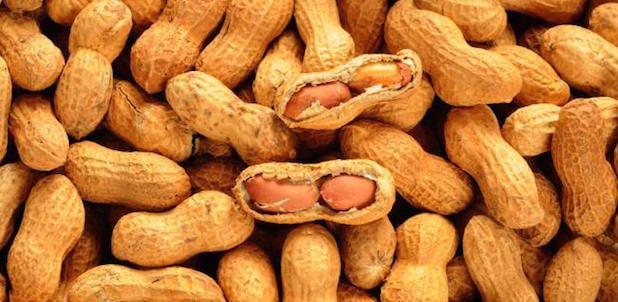 httpstved-prod.adobecqms.netcontentdameditorialTelevisamexicomuyinteresantemxpreguntas-y-respuestas161114propiedades-nutritivas-del-cacahuate-2.imgo_