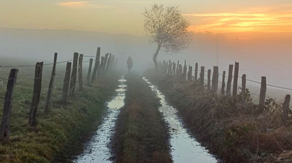 las-mejores-frases-del-camino-de-santiago-recopiladas_557