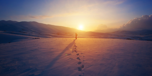 shutterstock_330194900