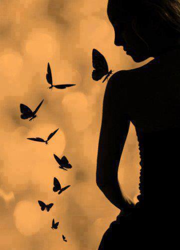 71495697_2744942068872119_4471735681613299712_n