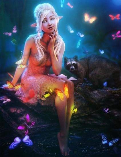 71518311_2744732032226456_4569487470822948864_n