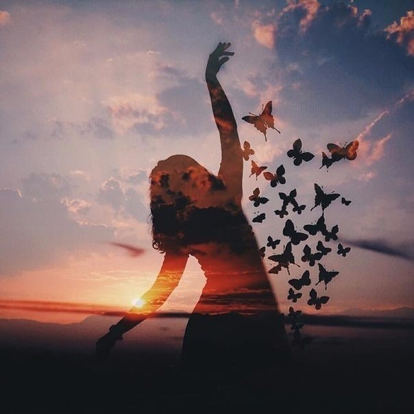 71843498_2744732515559741_5561246039953899520_n