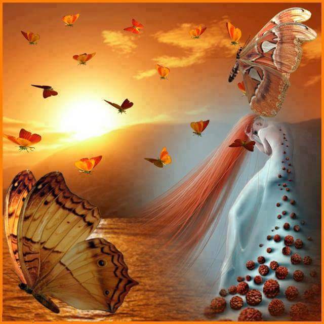 72222618_2744941915538801_4601054496901038080_n