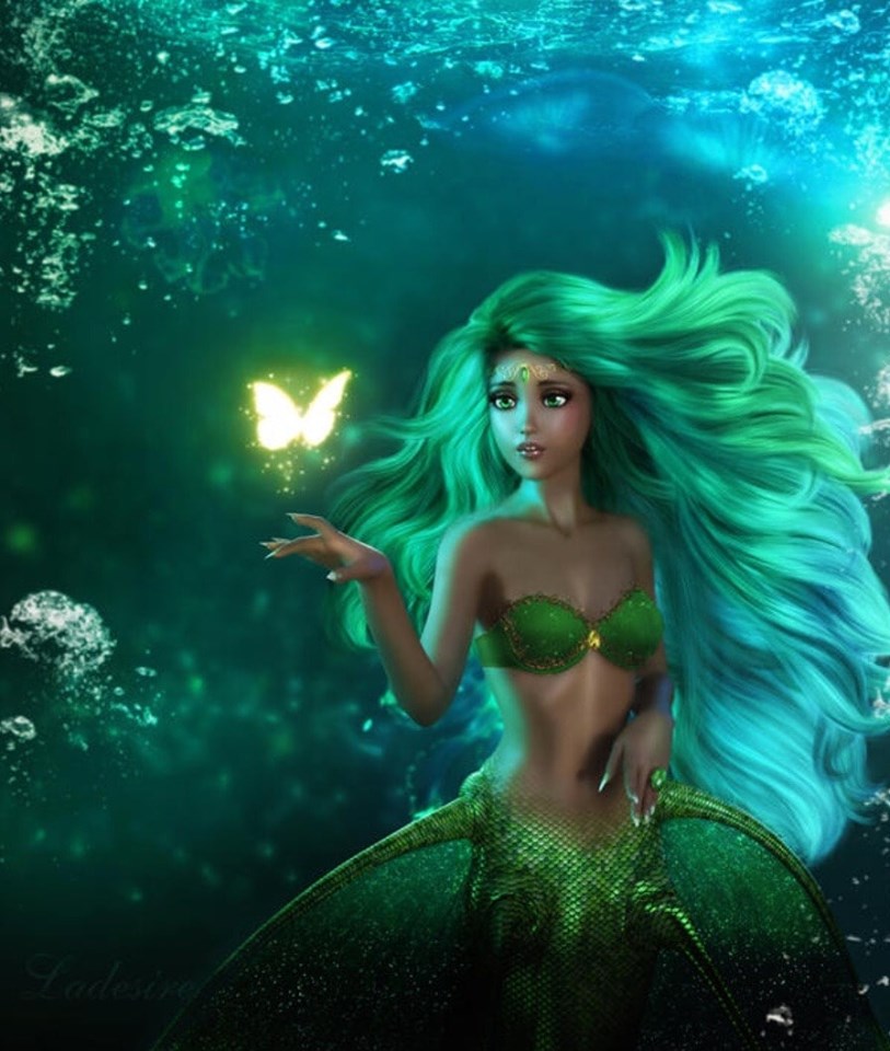 72313964_2744732722226387_1787710511245164544_n