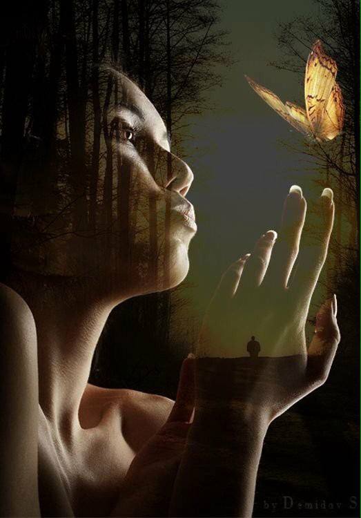 72362889_2744944008871925_7979460791088709632_n