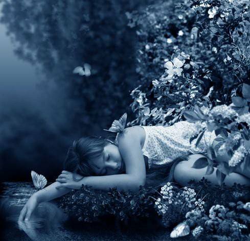 72627074_2744942165538776_6942371552272842752_n