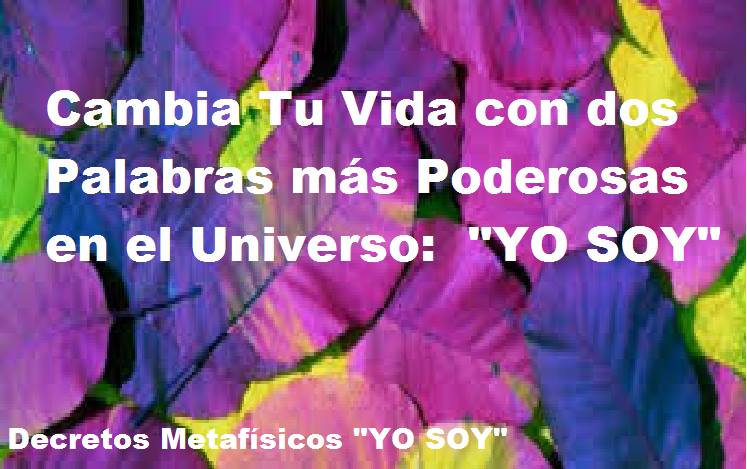 19894713_1628795357153468_960096281292085382_n