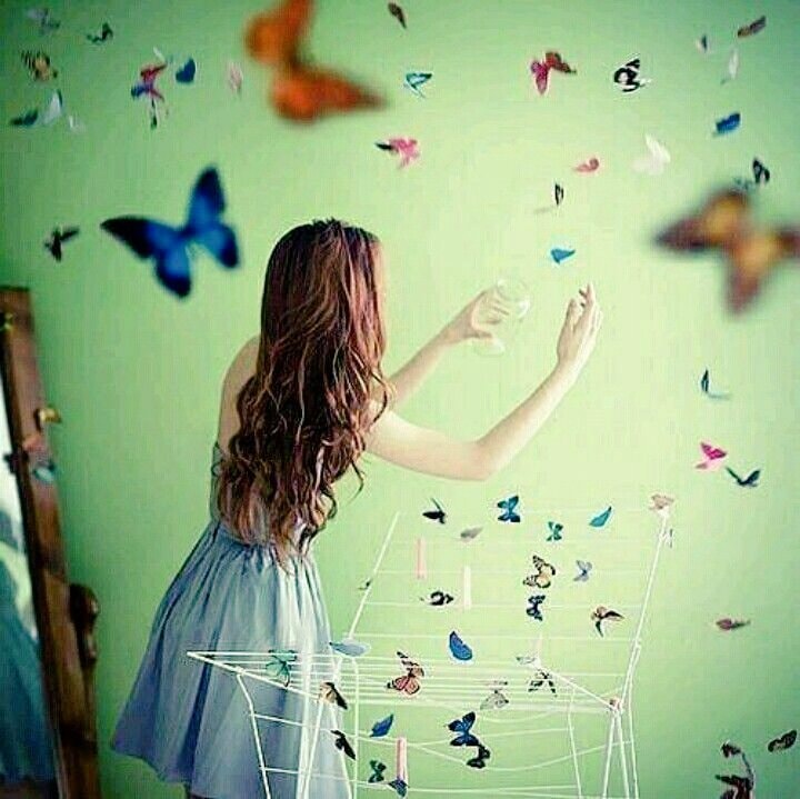 71786405_2743553915677601_1393240884916518912_n