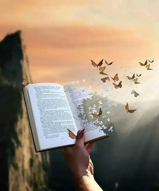 72647308_2743553642344295_3129028312454660096_n